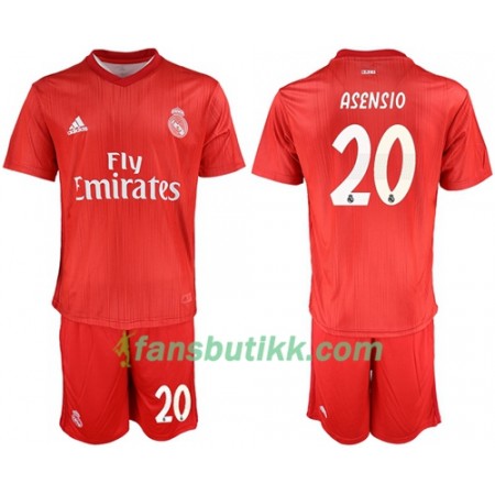 Fotballdrakt Real Madrid Asensio 20 Barn Tredjetrøye 2018-2019 Kortermet